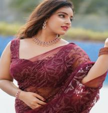 Malavika Menon Flaunts Her Beauty in Transparent Embroidered Saree