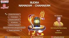 Rudra Namakam Chamakam by Y N Sharma