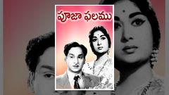 Pooja Phalam Old Telugu Full Movie | Akkineni Nageswara Rao, Savitri, Jamuna