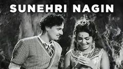 Sunehri Nagin 1963 Full Movie | सुन्हरी नागिन | Mahipal, Helen