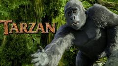 Tarzan - Çizgi Film Türkçe Dublaj HD 