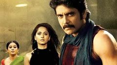 Gambler No 1 Kedi Hindi Dubbed Full Movie | Nagarjuna, Mamta Mohandas, Anushka Shetty