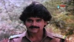 Aranyakanda Telugu Full Length Movie | Nagarjuna Movies | Nagarjuna, Ashwini, Shobana