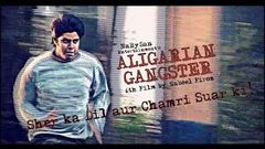 Gangs of Merrut Full Hindi Movie 2014