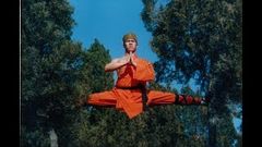 The Shaolin Temple | Hollywood Movie | Classic Hits