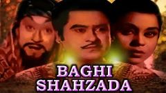 Hindi Movies 2017 Full Movie New BAGHI SHAHZADA Bollywood Movies 2017 Full Movies New