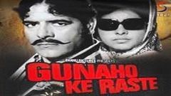 Gunahon ke Raste 1970 Super Hit Action Movie | गुनाहों के रास्ते | Dara Singh, Sanjana