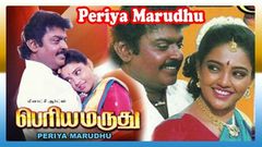 Periyanna Tamil Movie | Surya | Vijayakanth | Manasa | Pyramid Movies