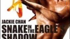 Snake in eagle shadow in hindi china film dubbed india hindi language by siam