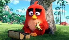 The Angry Birds full movie in hindi dubbed