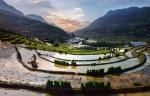 rice fields, sapa, vietnam