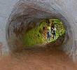 These Massive Tunnels Were Dug By Giant Sloths