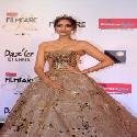 Sonam Kapoor At Filmfare Glamour And Style Awards 2017