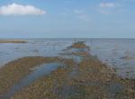 Broomway Britains Deadliest Path