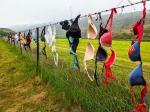 The Cardrona Bra Fence