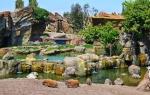 Bioparc Valencia: The Immersive Zoo