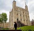 The Ravens of The Tower of London