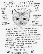 The Wonderful Art of Missing Pet Posters