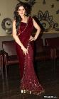 Zarine Khan at India Wedding Lounge