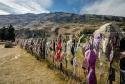 Decorating Fences With Trash The New Zealander Way