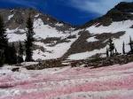 Watermelon Snow