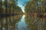 The Pearl Rush of Caddo Lake