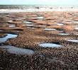 Goodwin Sands And Its Shipwrecks