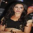 Nargis Fakhri in Black Choli at Saahasam Movie Press Meet