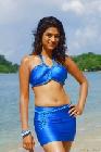 Tamil Actresses Sizzles in Blue Dresses