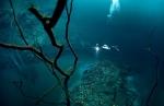 underwater river flows along mexico`s ocean floor