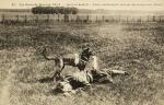 The Mercy Dogs of World War 1