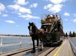 Horse Drawn Trams of Victor Harbor