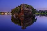 The Floating Forest of Homebush Bay, Sydney