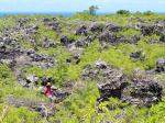 Banaba A Tropical Paradise Destroyed by Mining