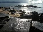 Petroglyph Beach in Wrangell, Alaska