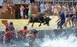 Bous a la Mar: The Spanish Festival of Chasing Bulls to The Sea