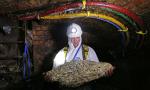 Fatberg The Fatty Monster of The Sewer