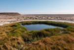 Australias Great Artesian Basin