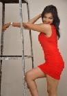 Ashwini Hot Photo Shoot Images