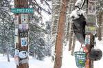 The Shrines of Aspen Mountain