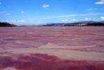 Lake Magadi, Kenya’s Pink Lake