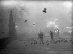 The Great Smog of 1952