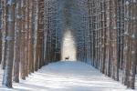 winter in quebec, canada