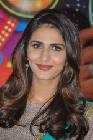 Vaani Kapoor At Aaha Kalyanam Movie Press Meet