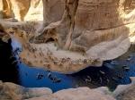 Guelta a Surprising Oasis in Chad