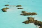 The Electric Blue Waters of Chalk Sound