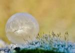 frozen bubble