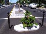 Mill Ends Park: World’s Smallest Park