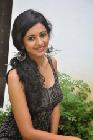 Rakul Preet Singh Hot Photo Shoot Images