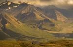 stunning denali national park, alaska